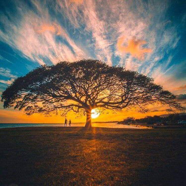 niorul lai profile icon