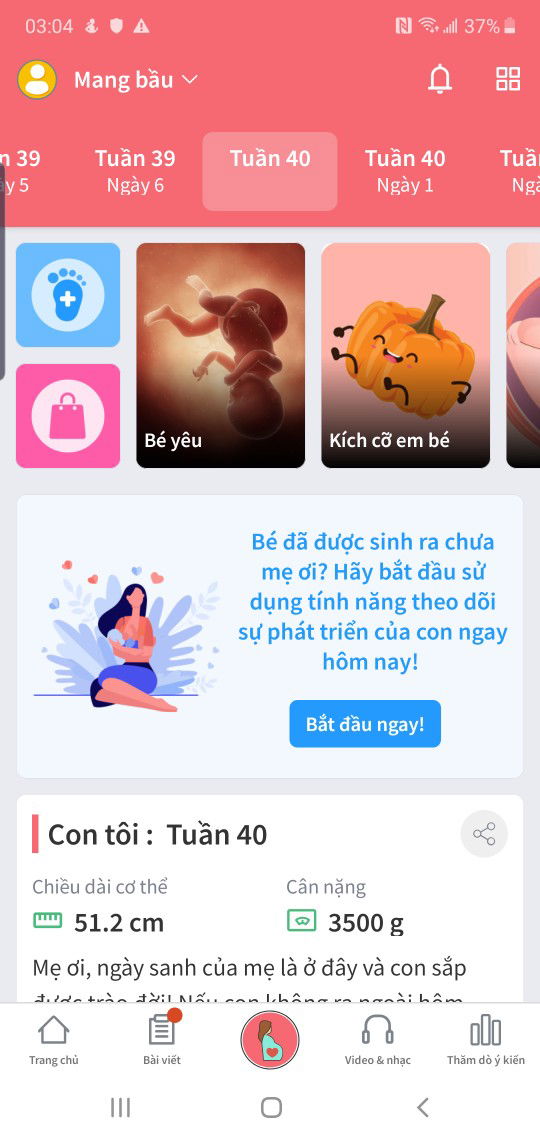 Trâu cái lìiii 🤣