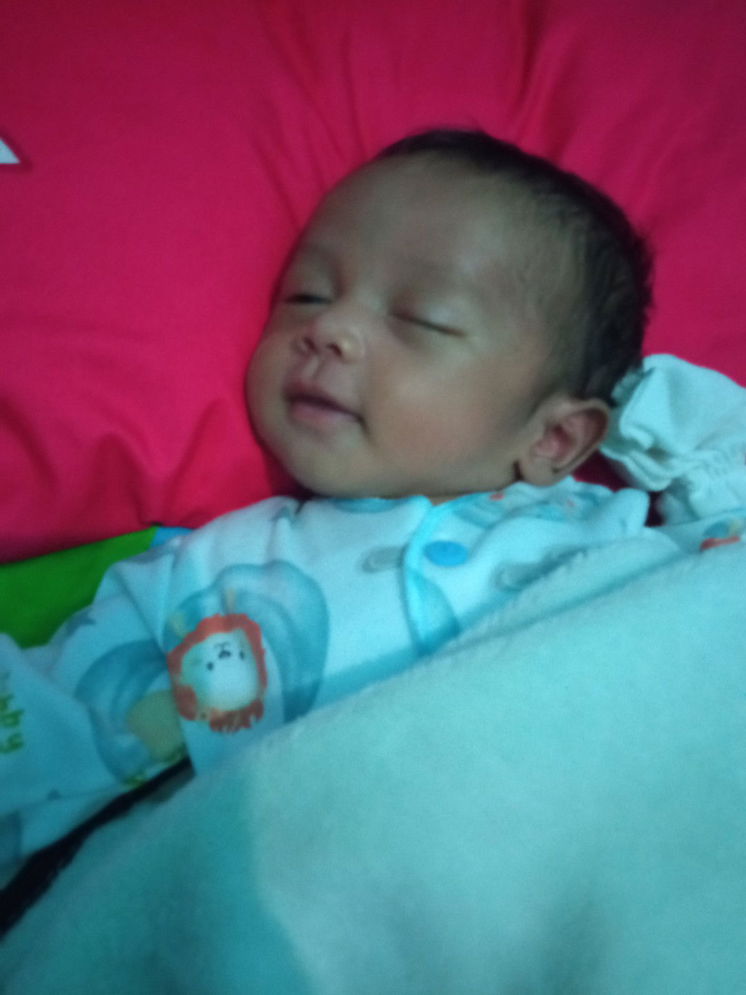 Handayani Nur profile icon