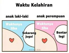 Sari Anita profile icon