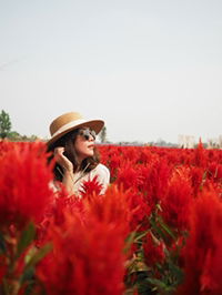 Kallayapa T. profile icon