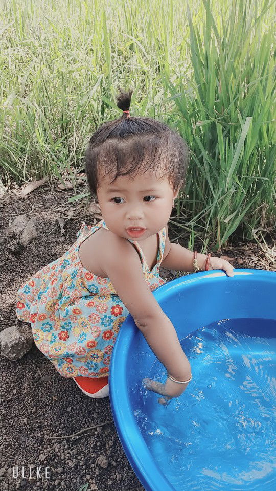 T. Thị Bạch Huệ profile icon