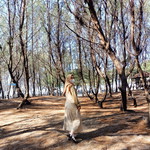 Maya Sari profile icon