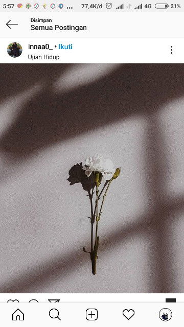 Yuli Yuliana profile icon