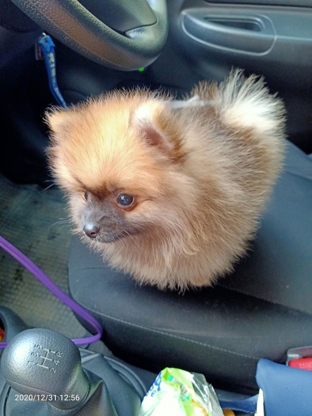 Sarita Onpaidum profile icon