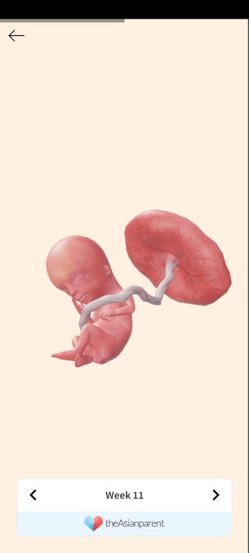 Zacky Oye profile icon