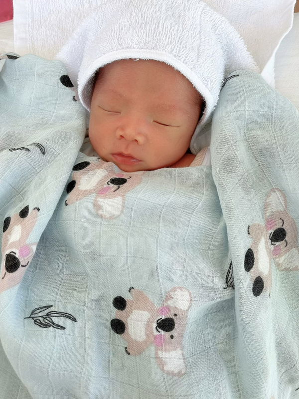 Siriluk Chan profile icon