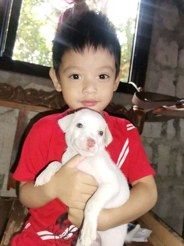 Nics Santiago profile icon