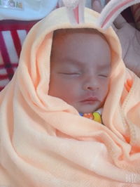 Bích Nghị profile icon