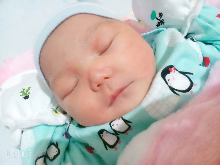 noimeromano2@gmail.com profile icon