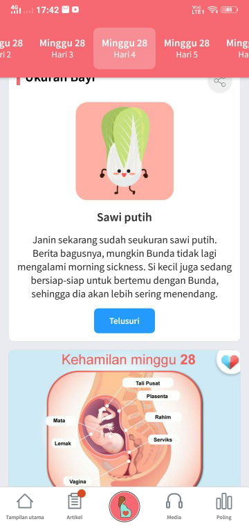 Muhammad Saifullah profile icon