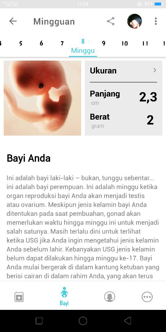 Mama Faqih profile icon