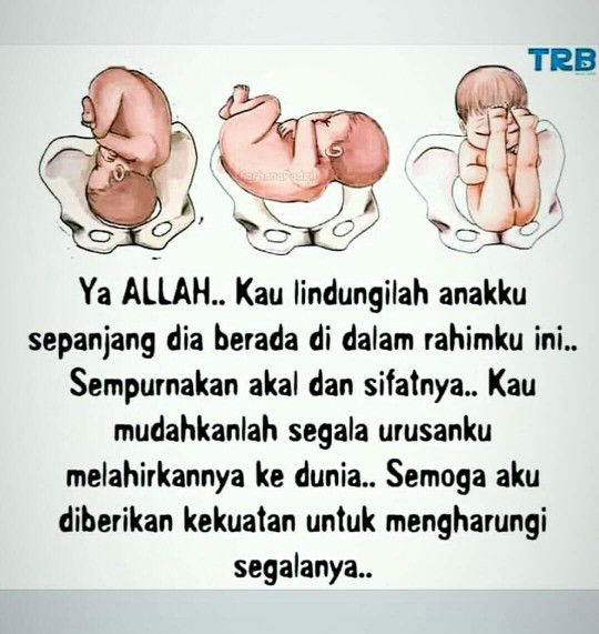 Siti Nur Haliza profile icon