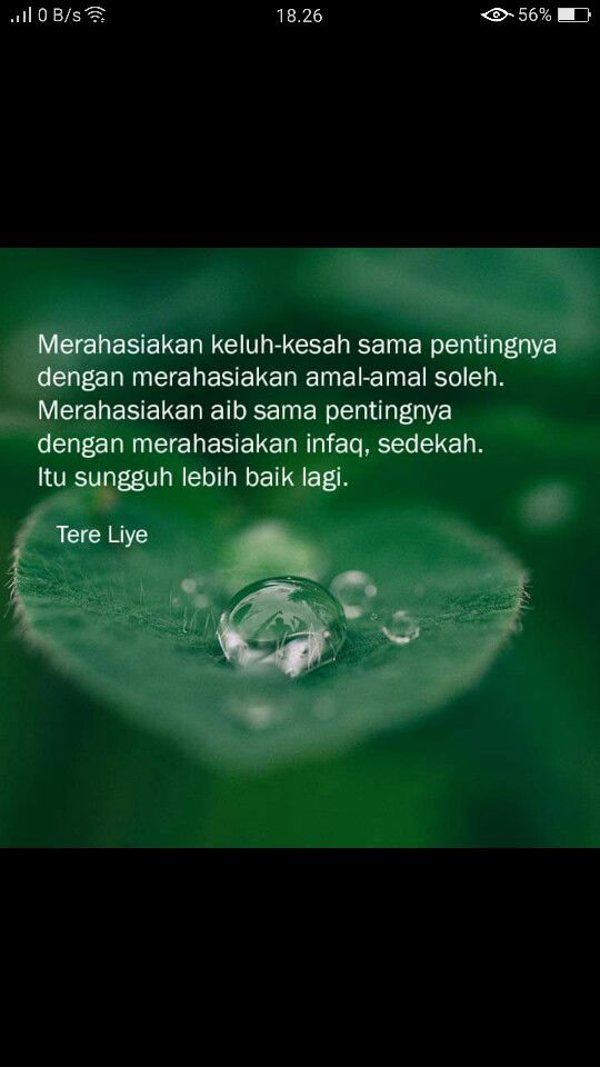 Lia Arlin profile icon