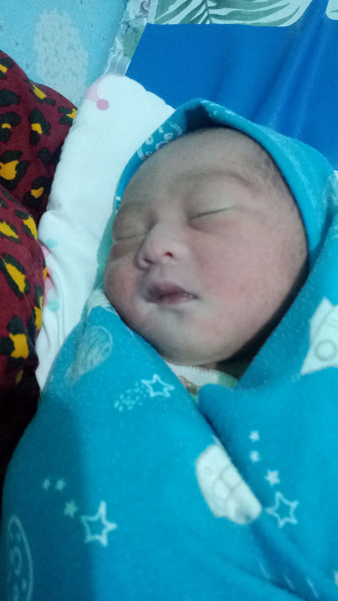 puteri regina profile icon