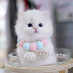 คุณแม่ลูกกำลังจะสองคนค่ะ profile icon