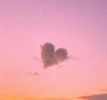 annperante profile icon