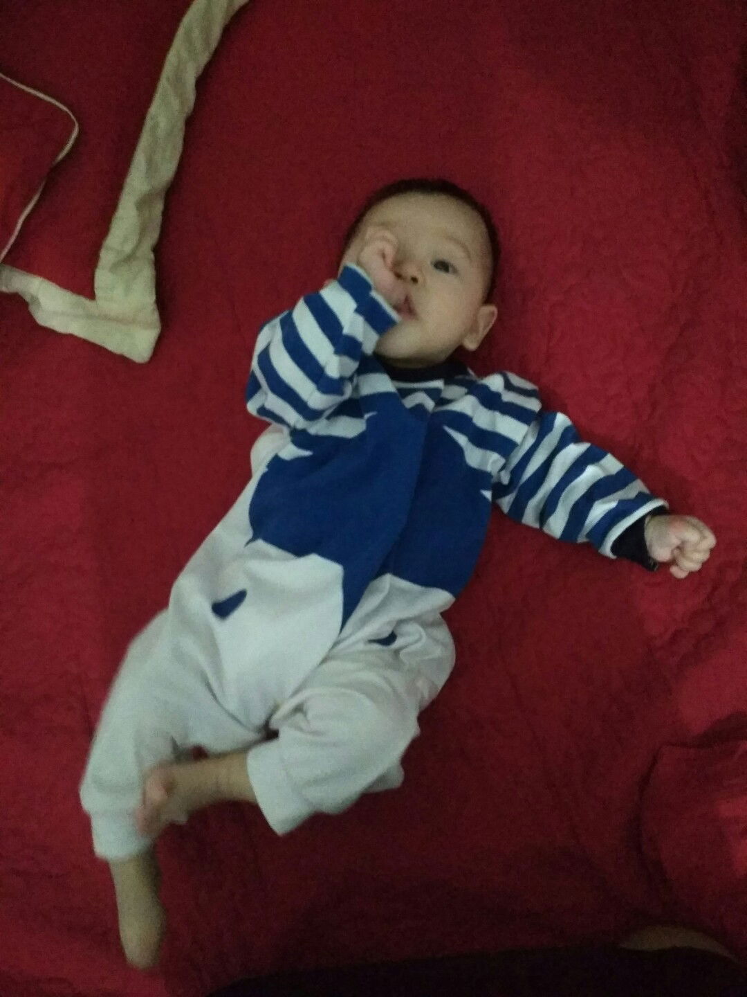 Nguyễn Loan profile icon