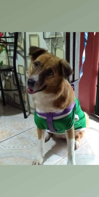 Joan Vicente profile icon