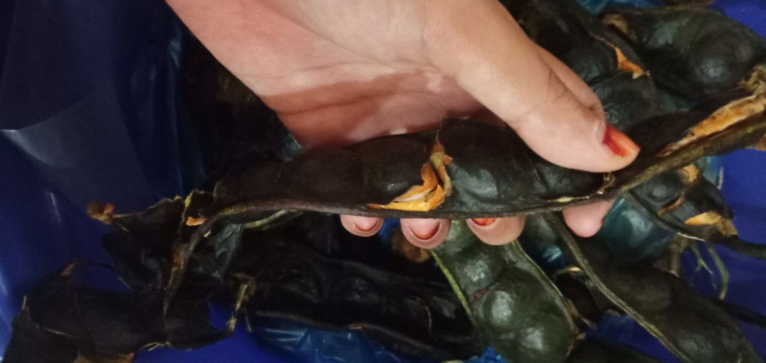 makanan penambah nafsu makan .. hihi #bagiaku