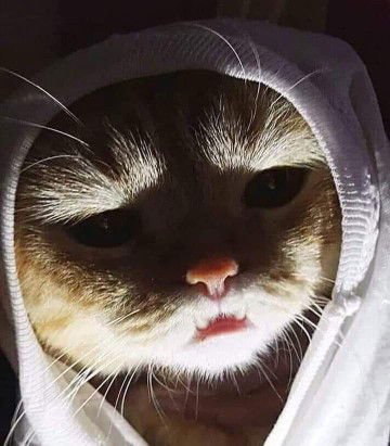 mak anak dua profile icon