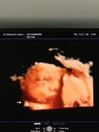 kanlayawadee profile icon