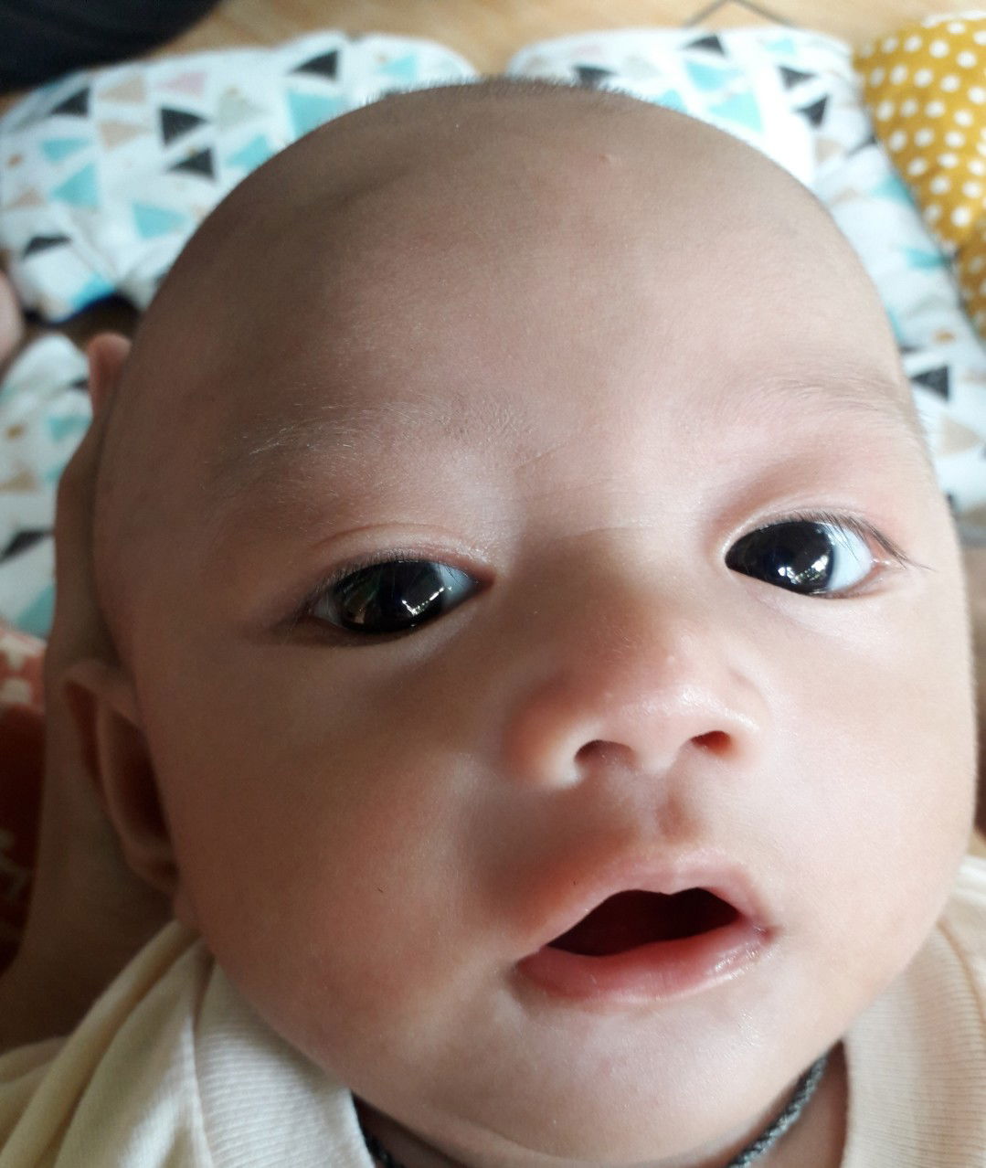 Fira Delia profile icon