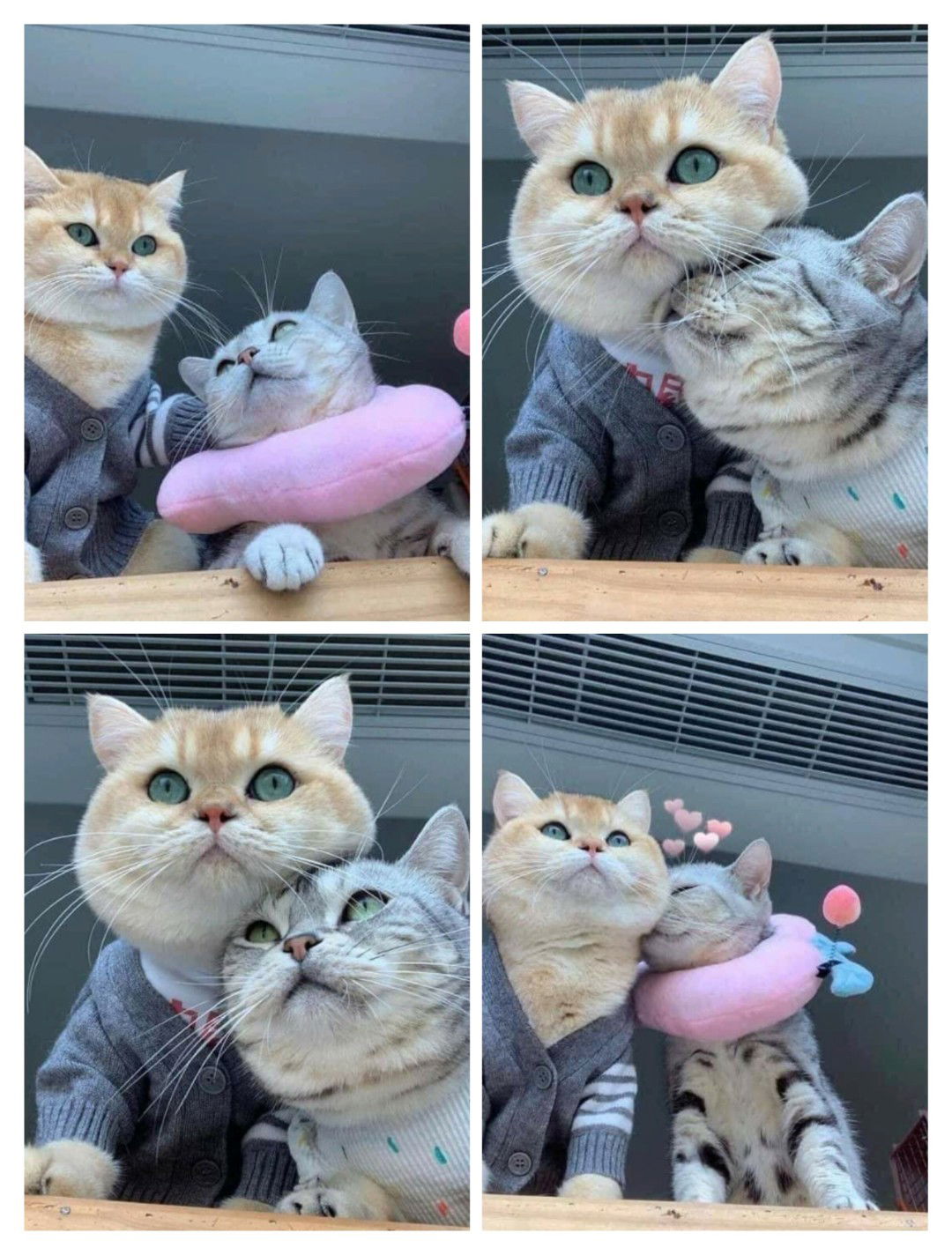 Nurlinda profile icon