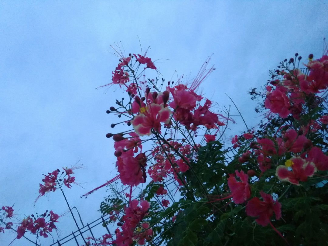 Tika Ramadhani profile icon