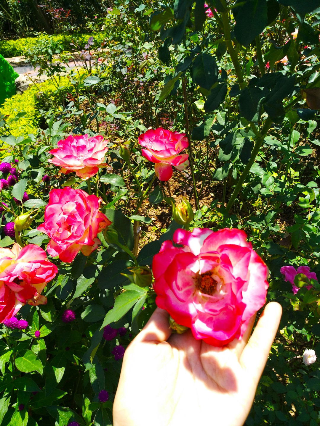 riyanti profile icon