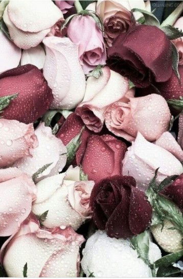 NORAZILA BT ALI profile icon