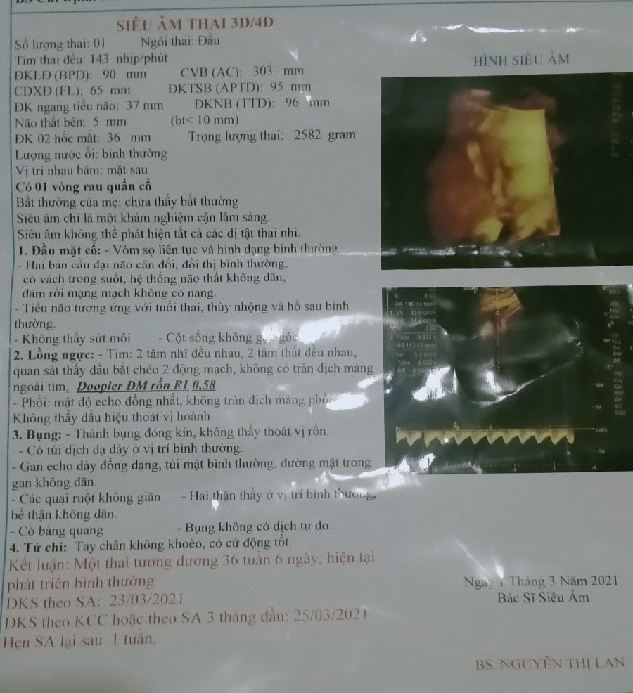 Lan Nghiêm profile icon