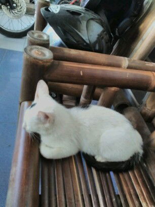 yuliyan ratnasari profile icon