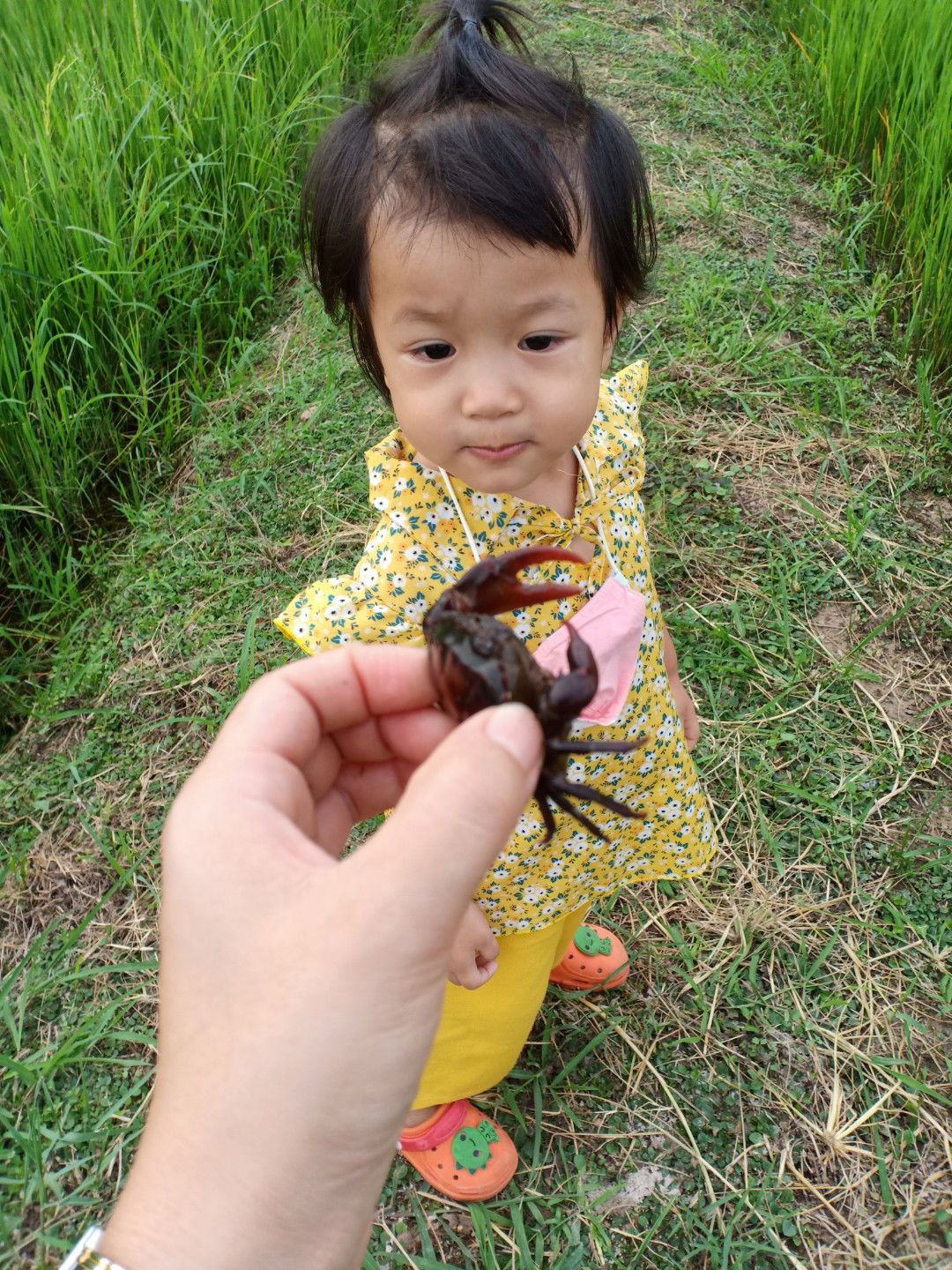 ราตรี profile icon