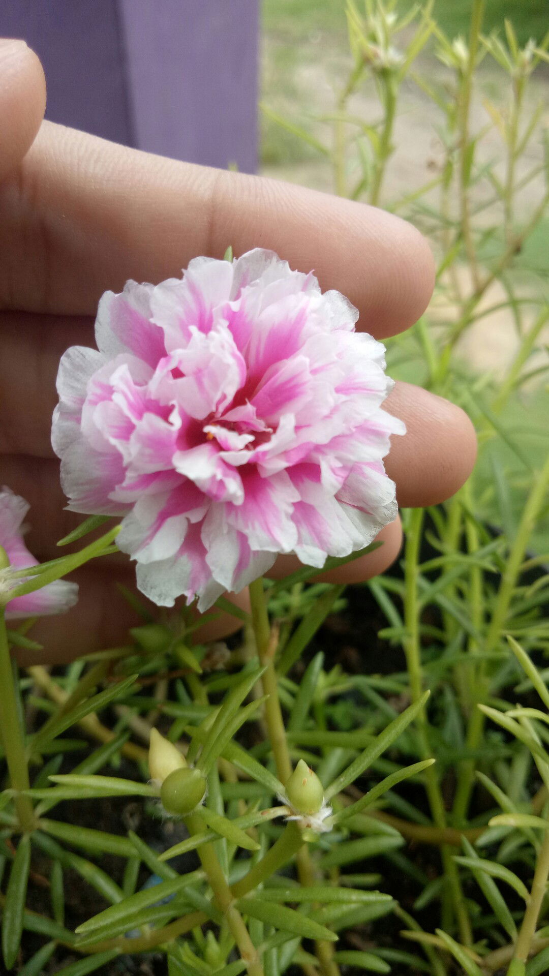 Mira Arri Ja profile icon