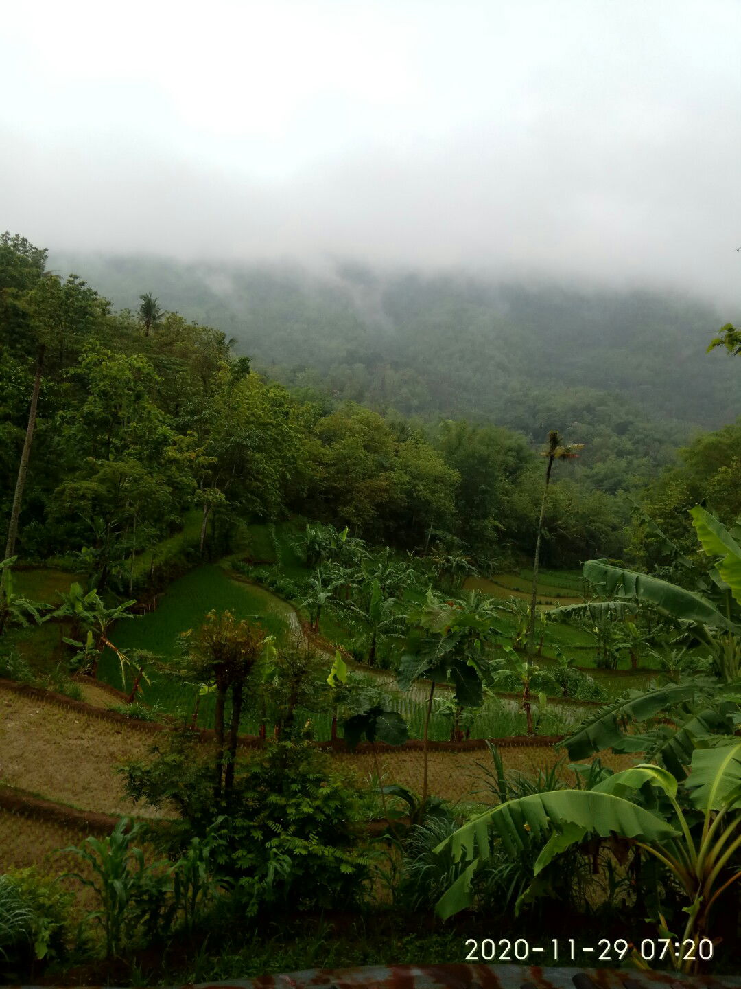 Riny Thintienh profile icon