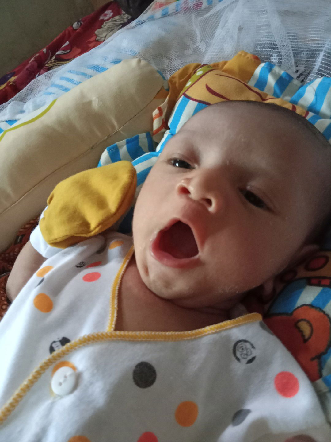 qori hidayanti profile icon