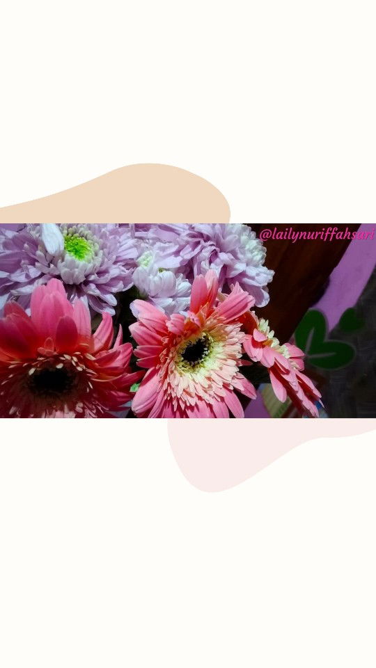 Laily Iffah profile icon