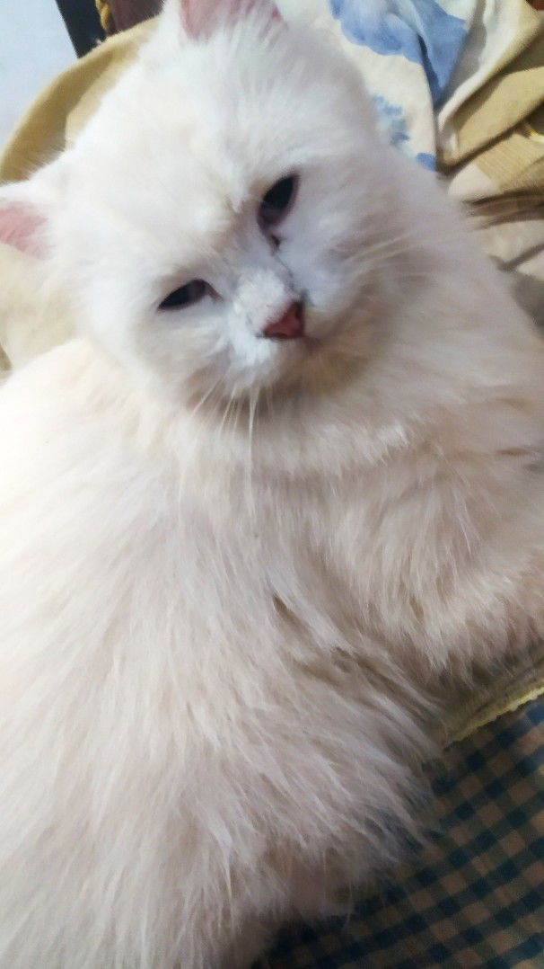 Dwi Wind profile icon