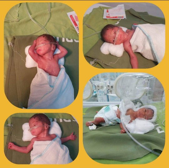 Rose Ann Tenoso profile icon