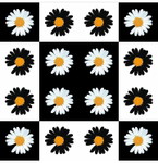 Novi profile icon