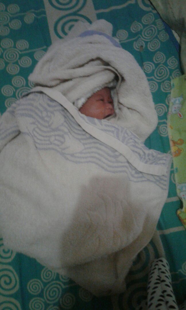 Lia Amini profile icon