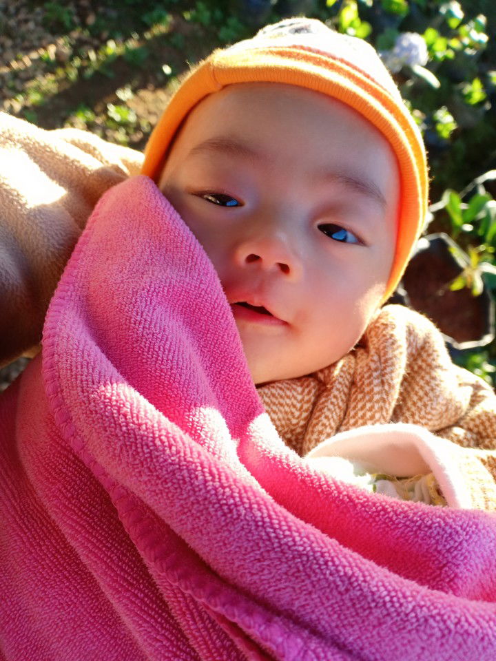 Aris pp profile icon