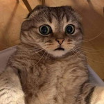 Sky blue profile icon