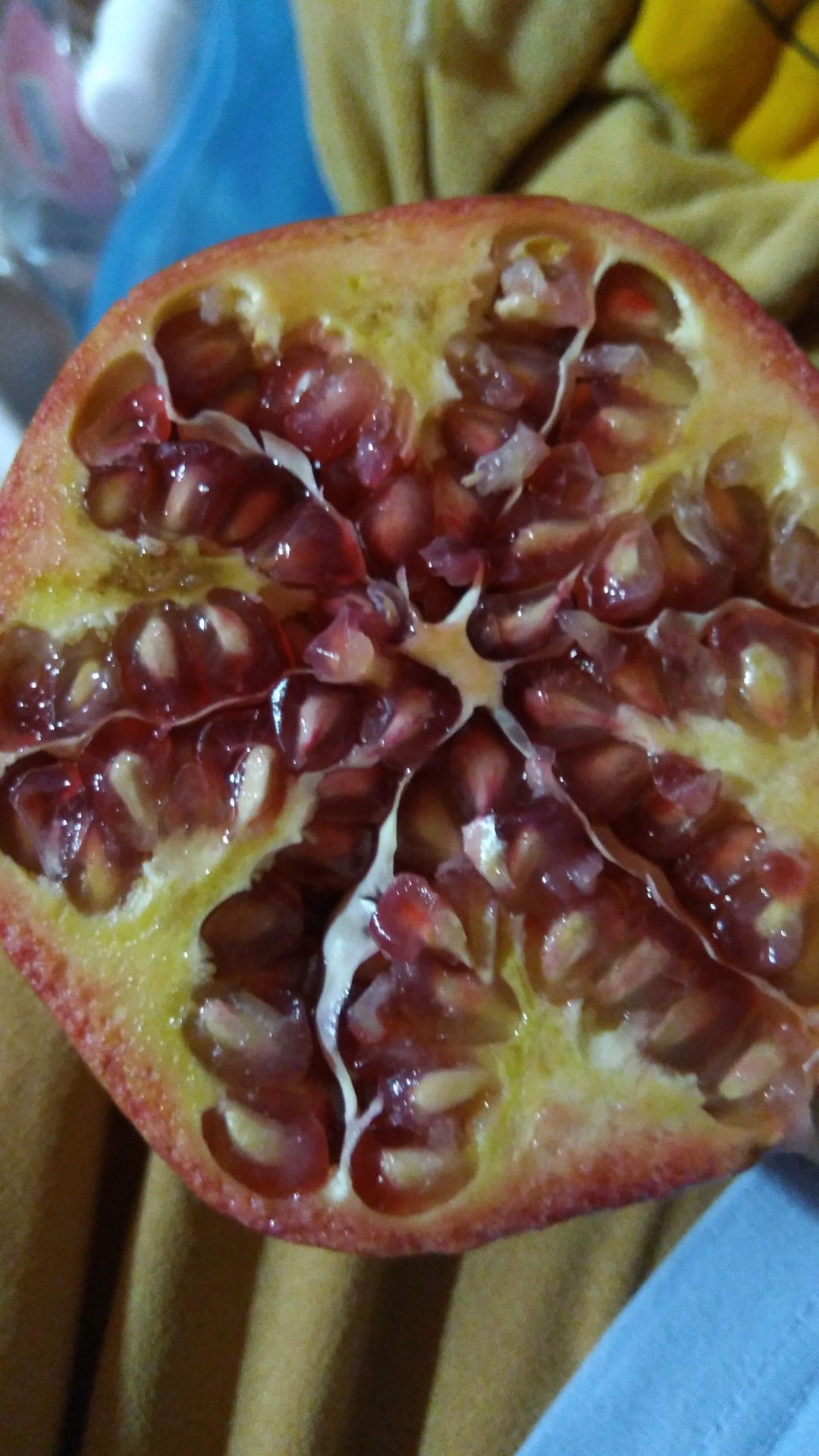 petai_papan profile icon