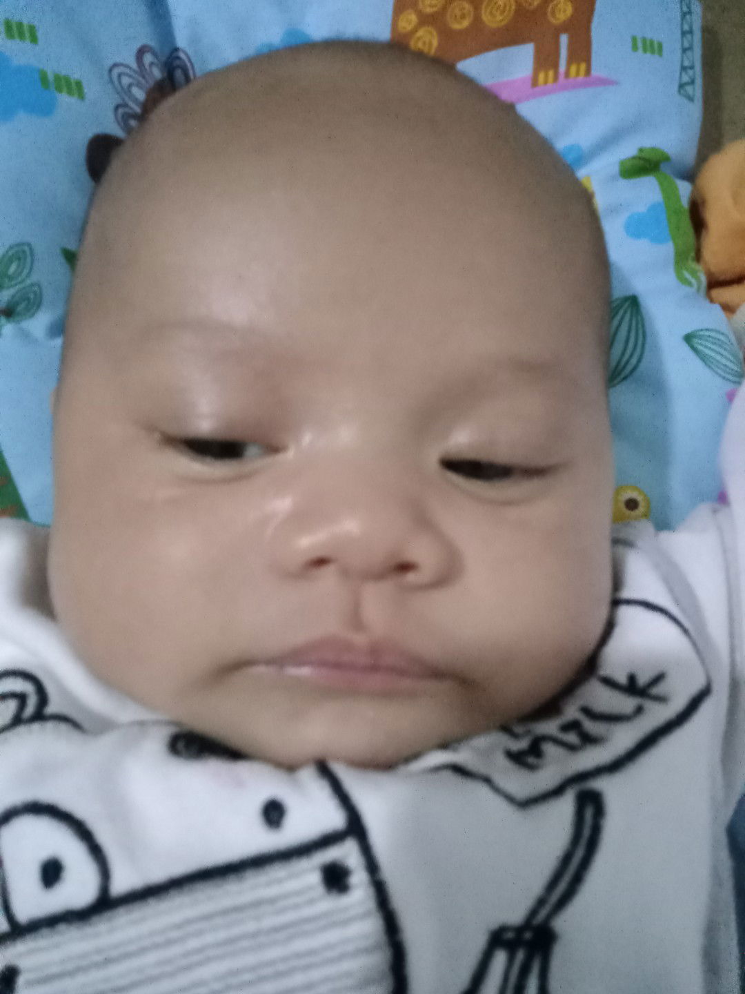 Dani Purnama profile icon