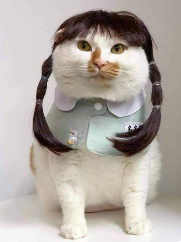 เจ้าหนู profile icon