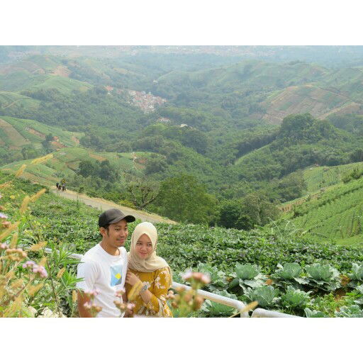 shoffa noerfizrianti profile icon