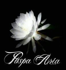 Puspa Aria profile icon