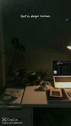 syfrsmw profile icon